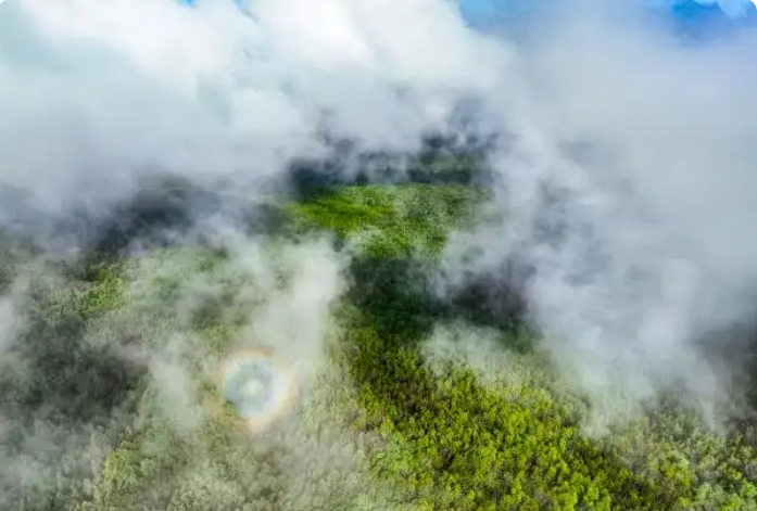 山东同余堂人参科技有限公司
